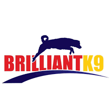 BrilliantK9 Coupon Codes