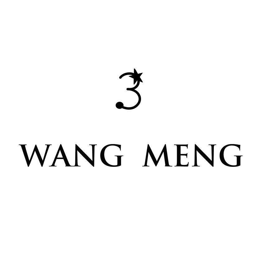 Wang Meng Coupon Codes